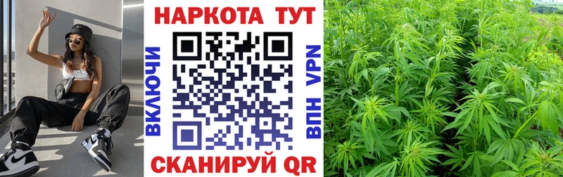 Где можно купить наркотики Каргат Галлюциногенные грибы  МЕГА как войти  АМФ  Меф мяу мяу  Гашиш  Марихуана 
