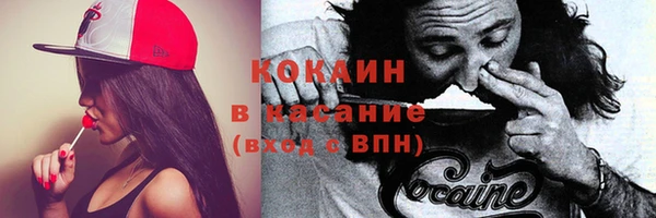2c-b Алзамай