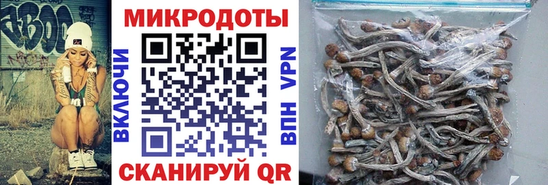 Галлюциногенные грибы мухоморы  Каргат 